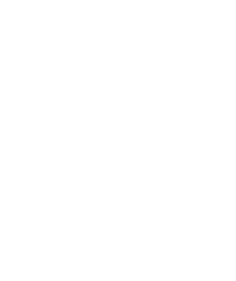 Image module